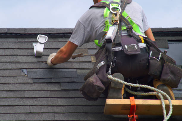 Best Metal Roofing Contractor  in Brier, WA