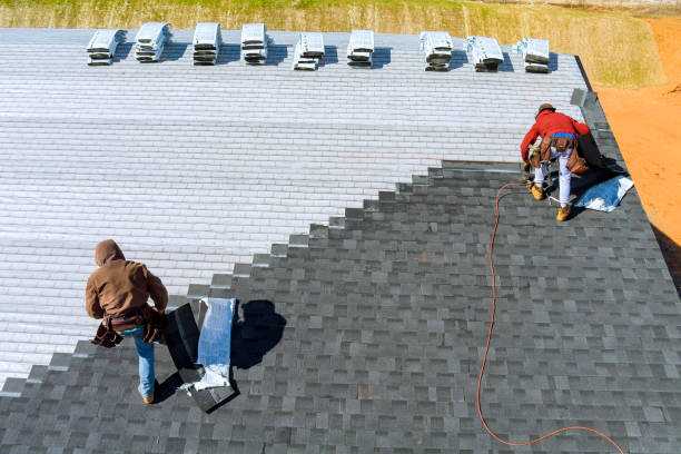 Best Roof Maintenance Services  in Brier, WA