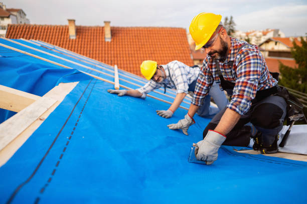 Roof Gutter Cleaning in Brier, WA