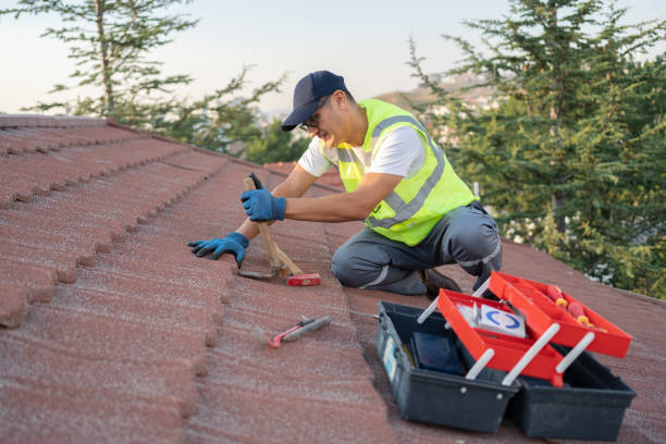 Best Roof Maintenance Services  in Brier, WA