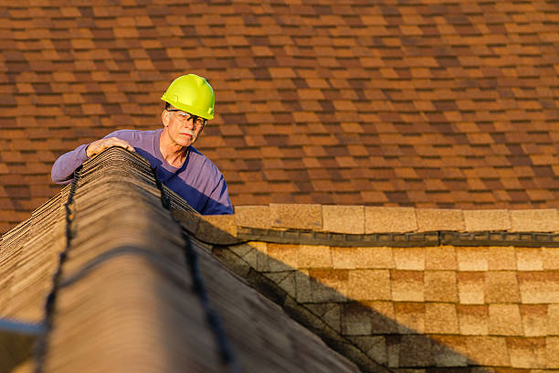 Best Roof Leak Repair  in Brier, WA