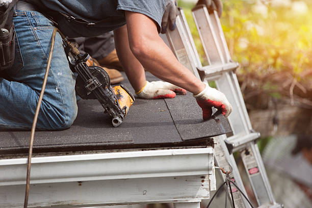 Best Roof Leak Repair  in Brier, WA