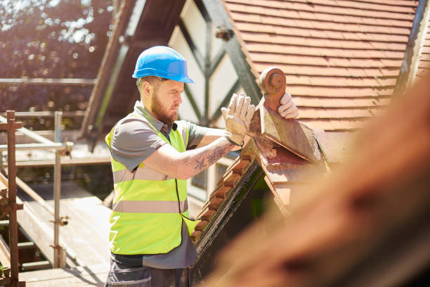 Best Metal Roofing Contractor  in Brier, WA