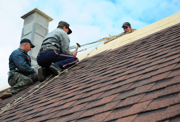 Best Commercial Roofing Services  in Brier, WA