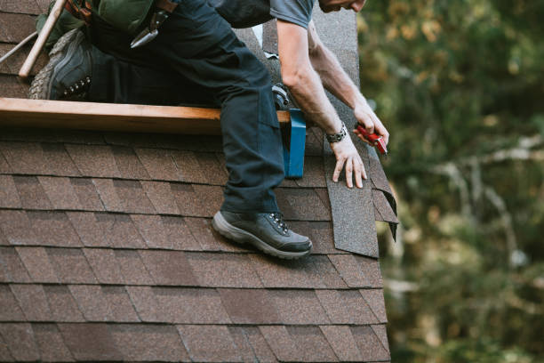 Professional Roofing Contractor in Brier, WA