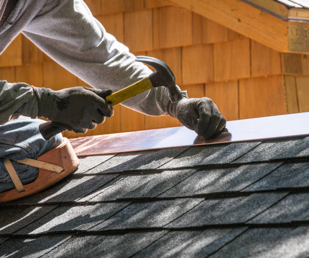 Best Roof Gutter Cleaning  in Brier, WA